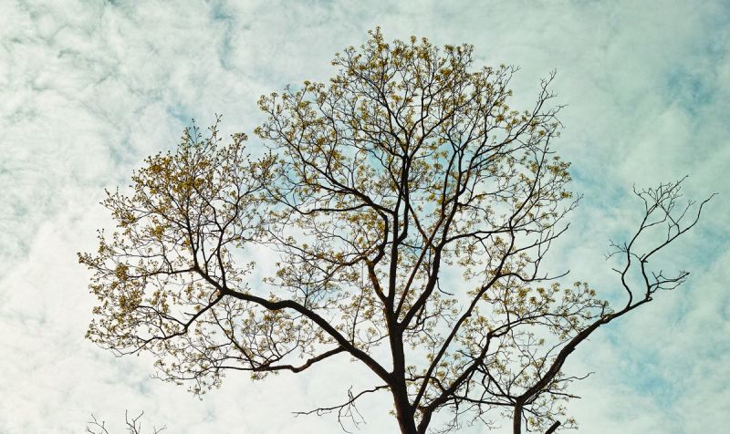 Psychosynthese Empfindungen Wassertropfen